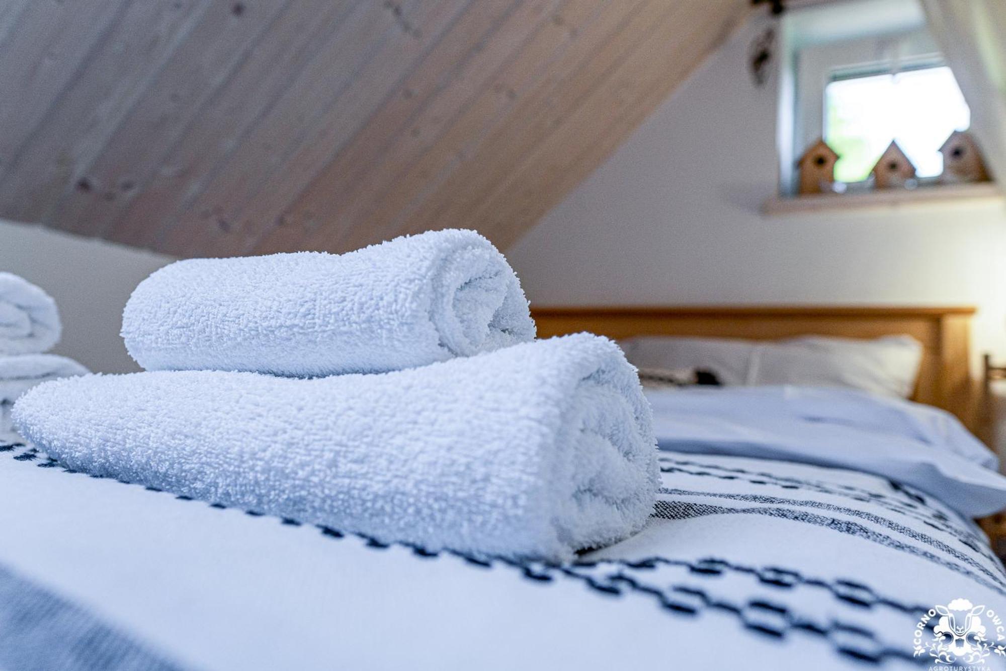 Agroturystyka Corno Owca Zabnica Habitación foto